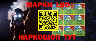 стафф Дубна