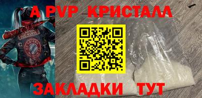 стафф Дубна