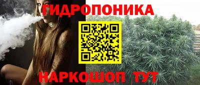стафф Дубна