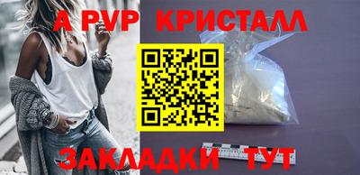 стафф Дубна