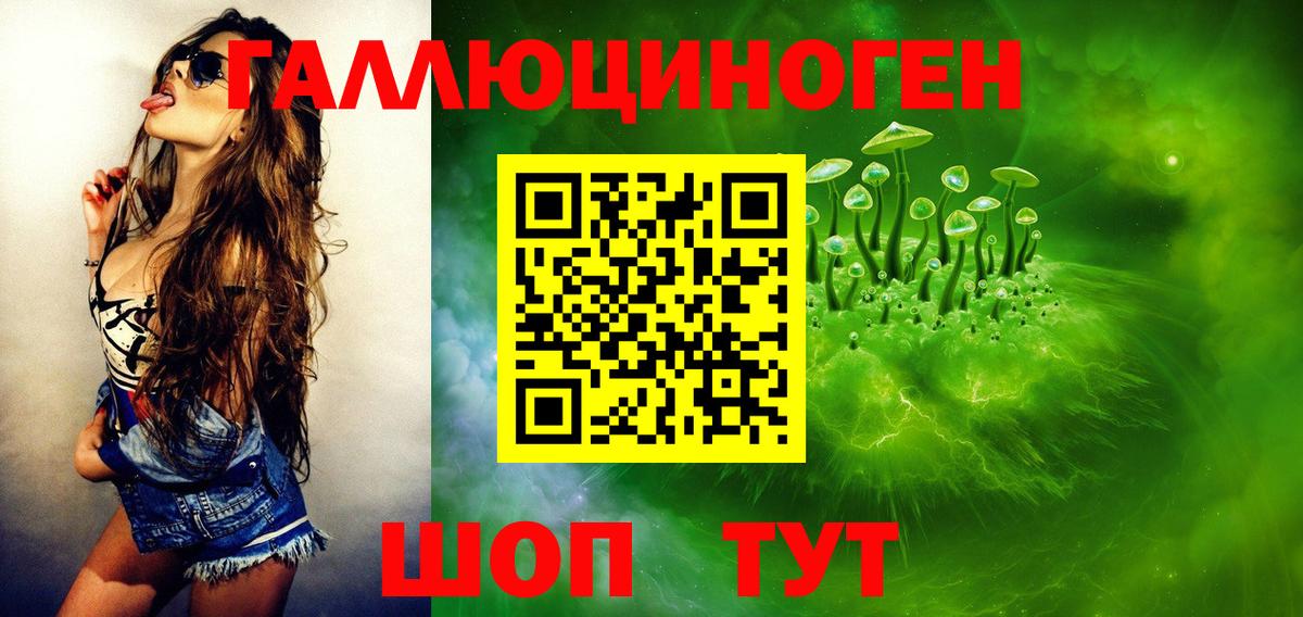 Чистополь  где можно купить наркотик  Псилоцибиновые грибы прущие грибы  Вход с VPN  Галлюциногенные грибы прущие грибы 